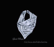 Load image into Gallery viewer, MULBERRY SILK PAISLEY REVERIE SCARF