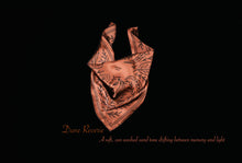 Load image into Gallery viewer, MULBERRY SILK PAISLEY REVERIE SCARF