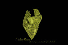 Load image into Gallery viewer, MULBERRY SILK PAISLEY REVERIE SCARF
