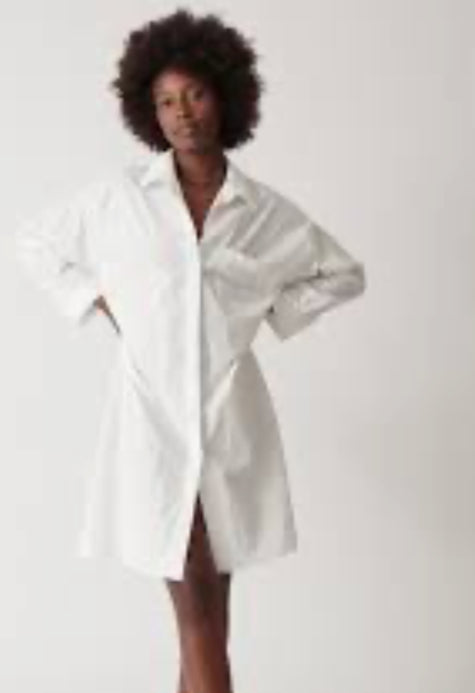ELECTRIC & ROSE Suki Shirt Dress