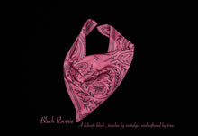 Load image into Gallery viewer, MULBERRY SILK PAISLEY REVERIE SCARF

